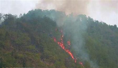 Forest and Grassland Fire Suppression - 1